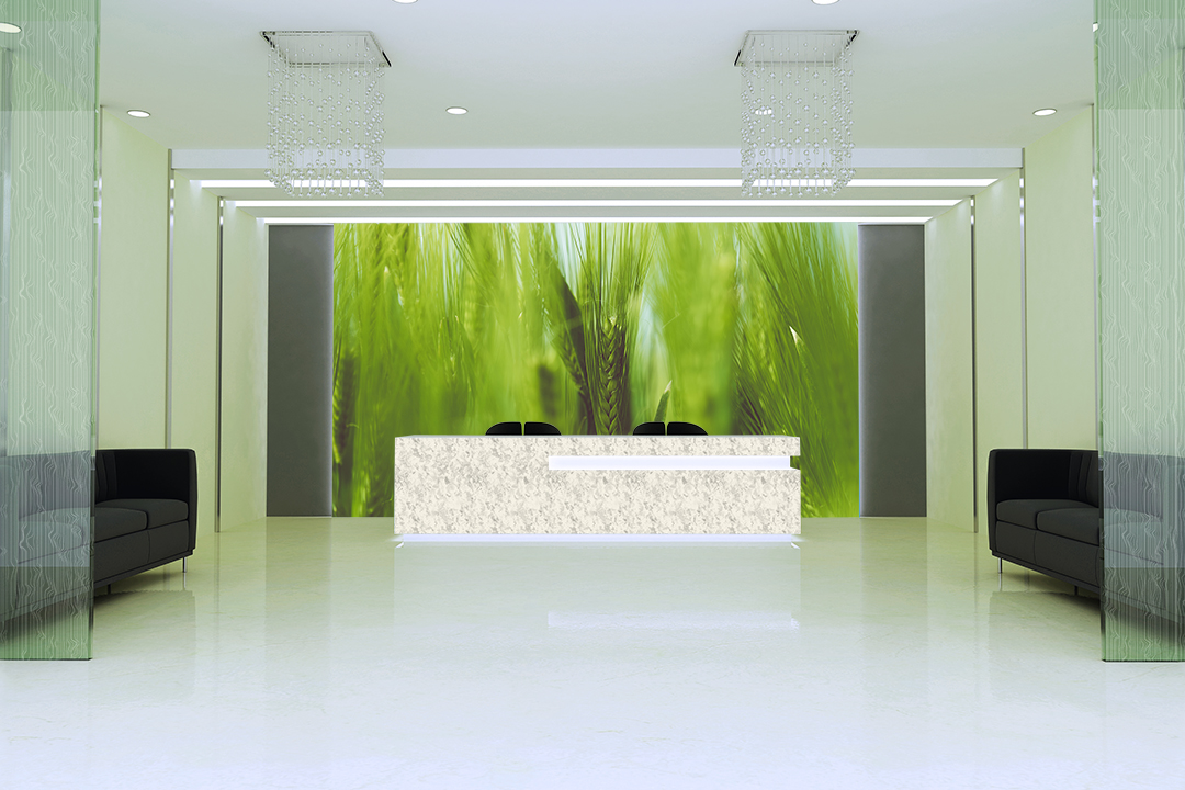 Decorative Etched Glass Designer prints etched on glass for privacy.